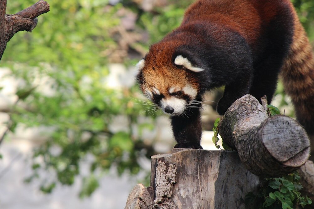 Фото Miyako City Osaka Tennoji