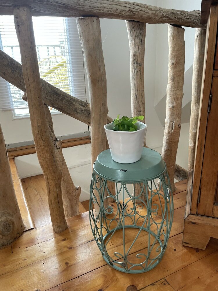 Фото Little Bird Inn