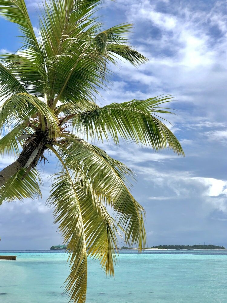 Фото Aqua Sunset