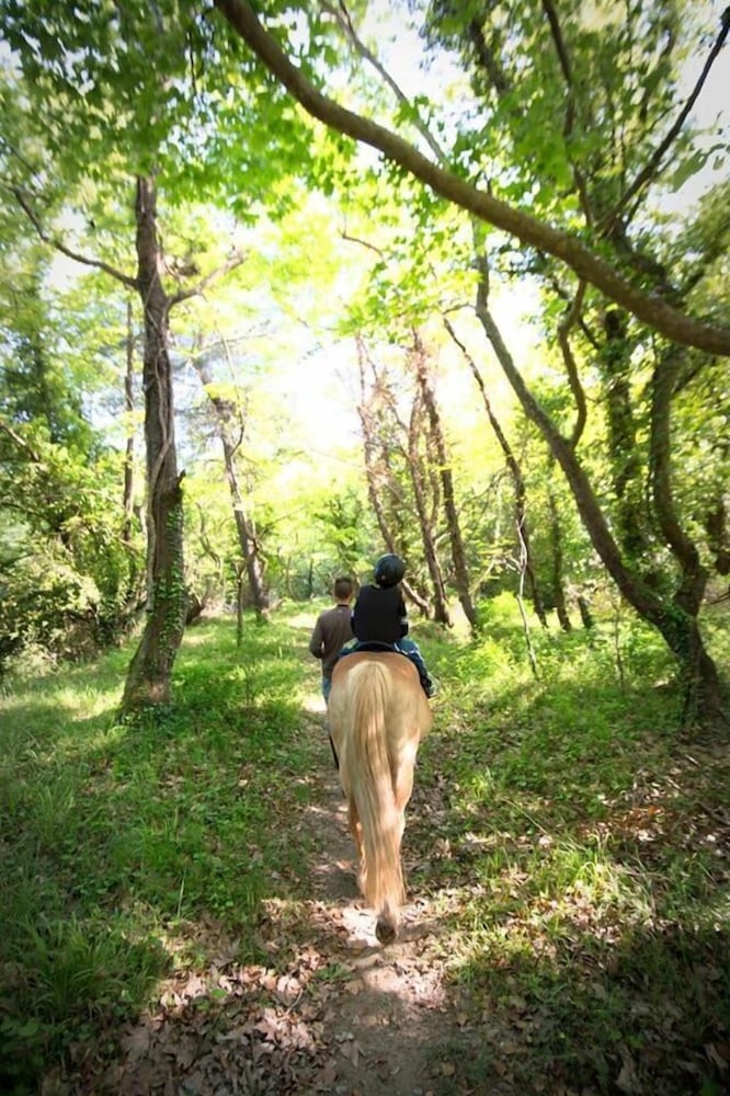 Фото Panorama Hotel