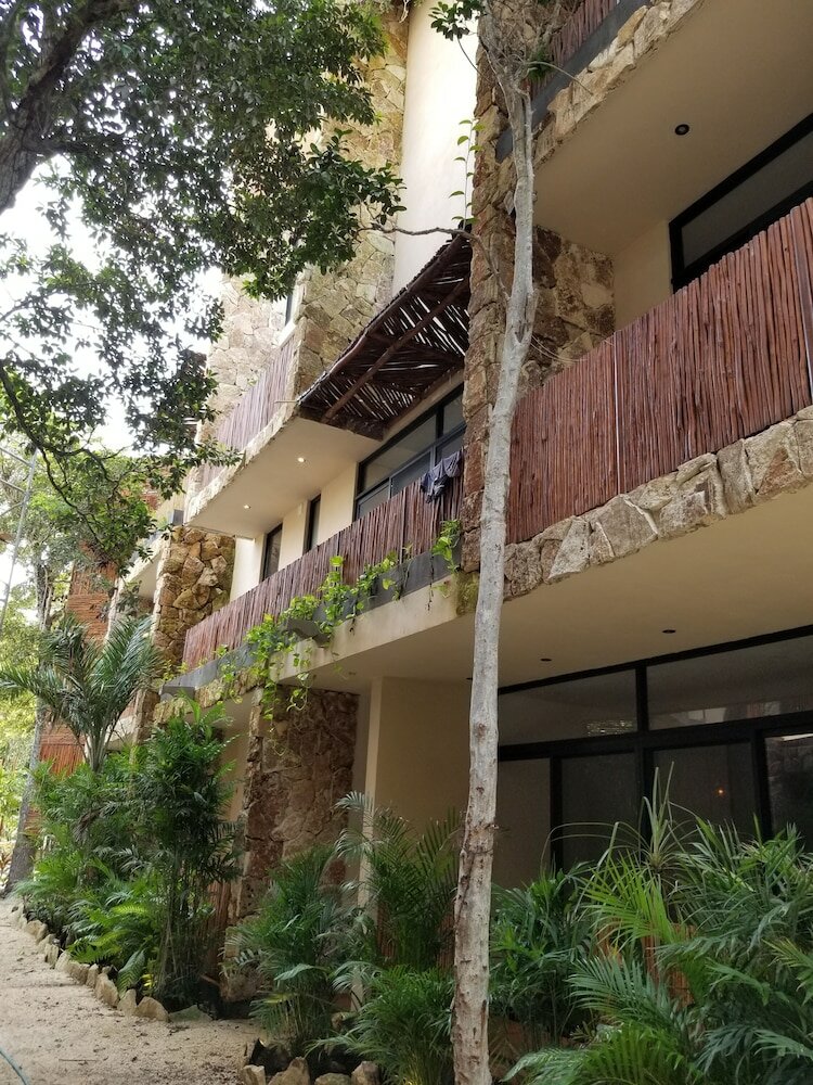 Фото Jungle Penthouse