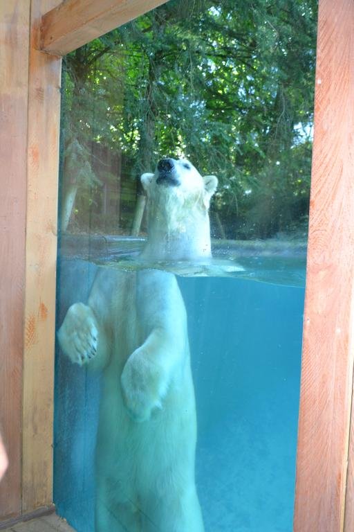 Фото Hotel Le Gentleman