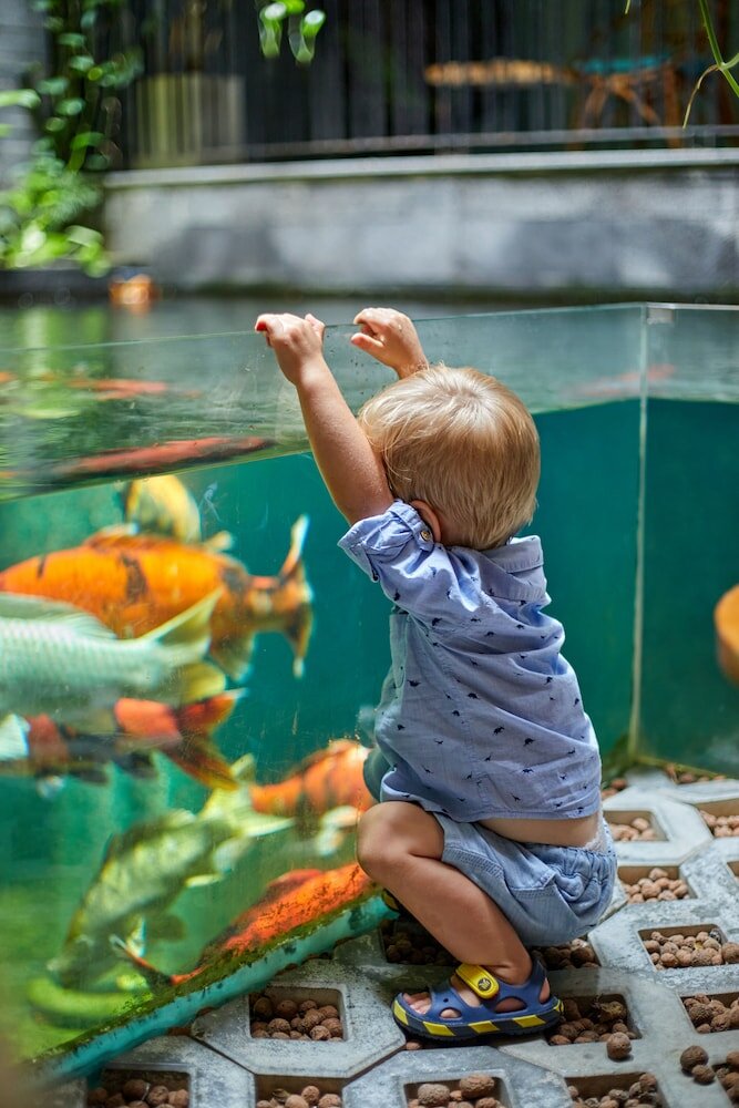 Фото Vernalhome Boutique Danang