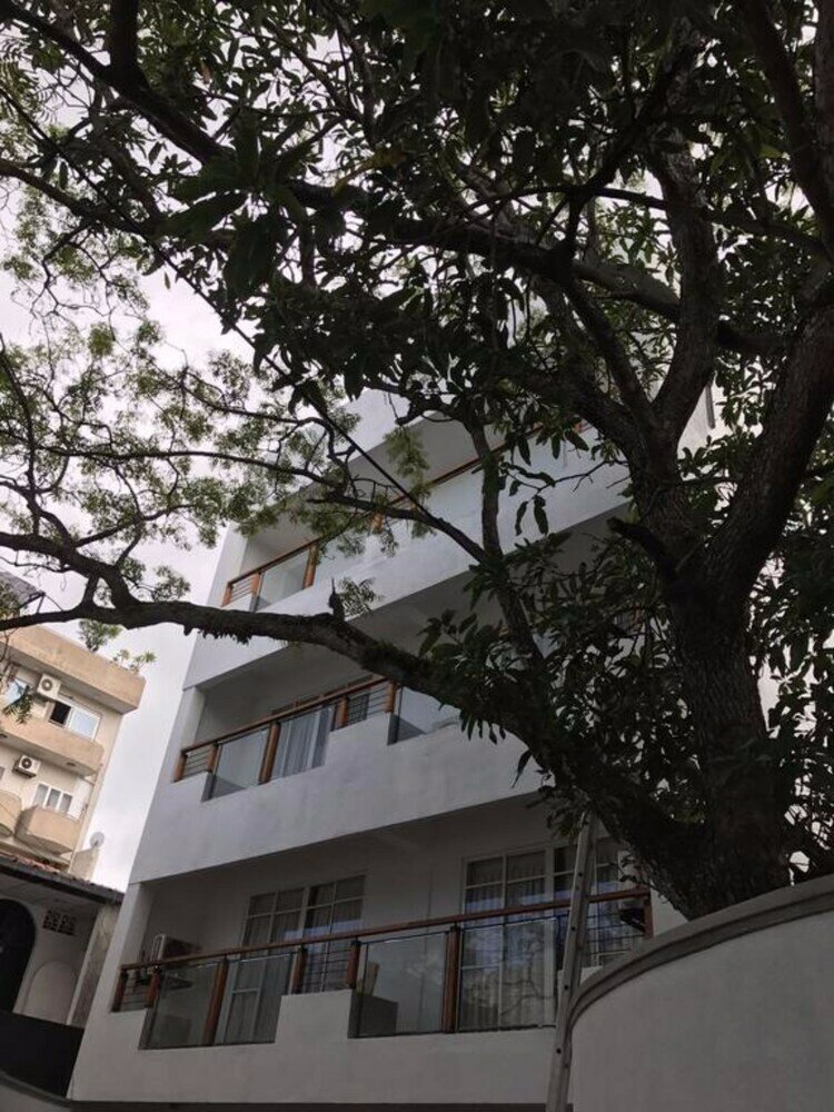 Фото Amber FR 16 Colombo