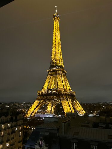 Гостиница Pullman Paris Tour Eiffel в Париже
