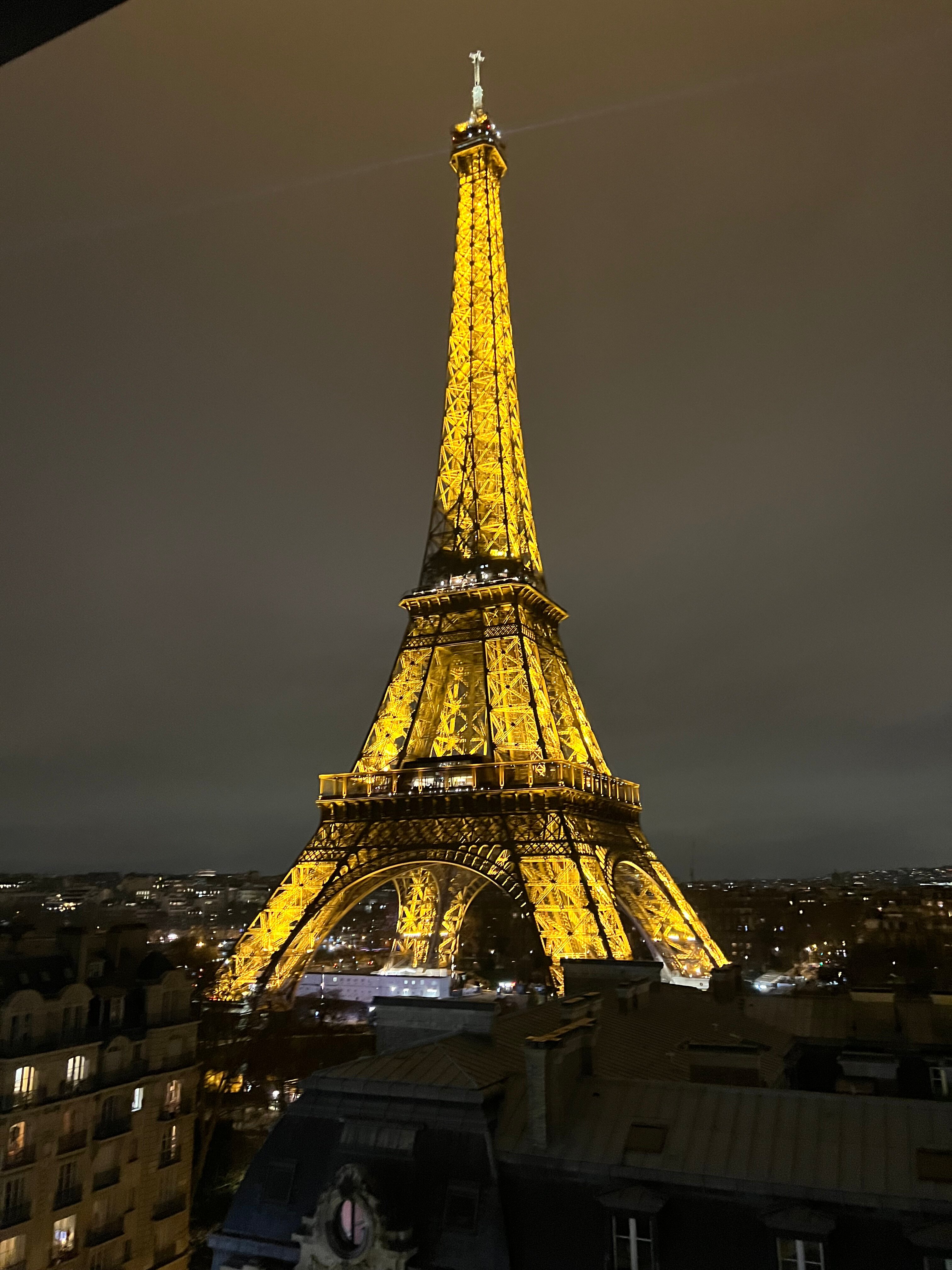 Фото Pullman Paris Tour Eiffel