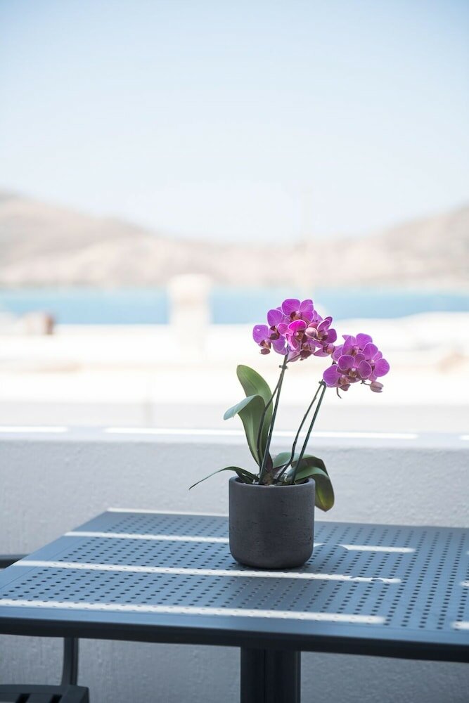 Фото Piperaki Project Paros