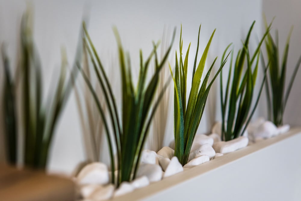 Фото HillHouse Plovdiv