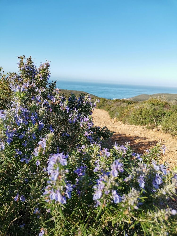 Фото Bed and Breakfast L'Abete