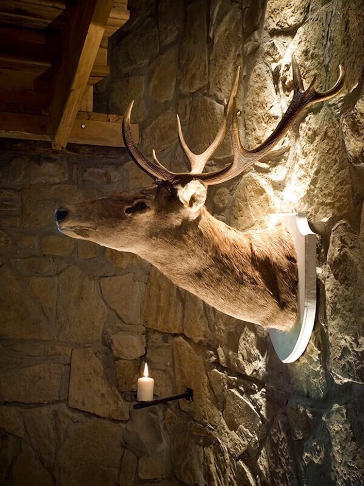 Фото Maison & Chateau Copsa