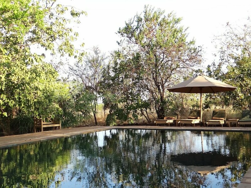 Гостиница IKWETA Safari Camp