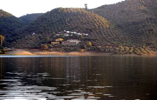 Фото Aparthotel Las Palomas