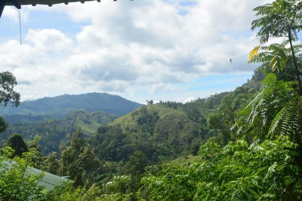 Фото Cloudy Hill Cottage
