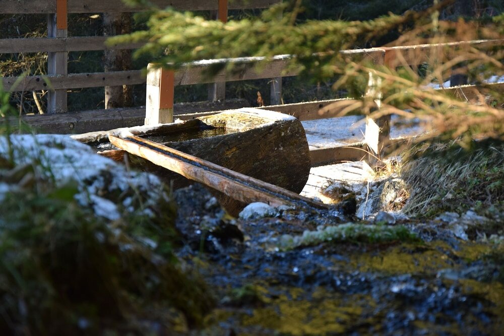 Фото Berggasthof Badl