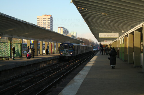 Наруто Кибо мен Сакура жыныстық қатынасқа түседі