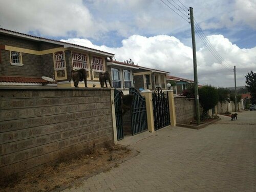 Гостиница Chester View Homestay - Hostel
