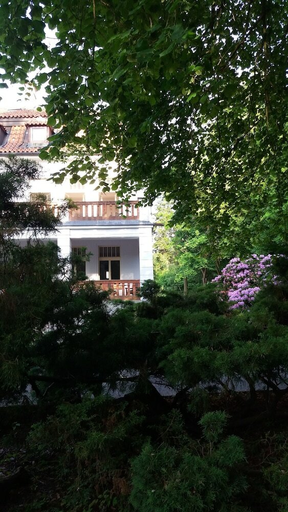 Фото Hotel Vila Olga