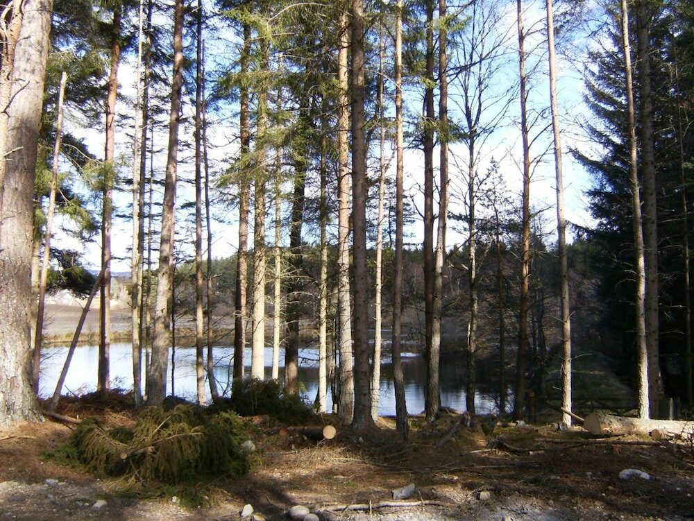 Фото Cairngorm Lodges