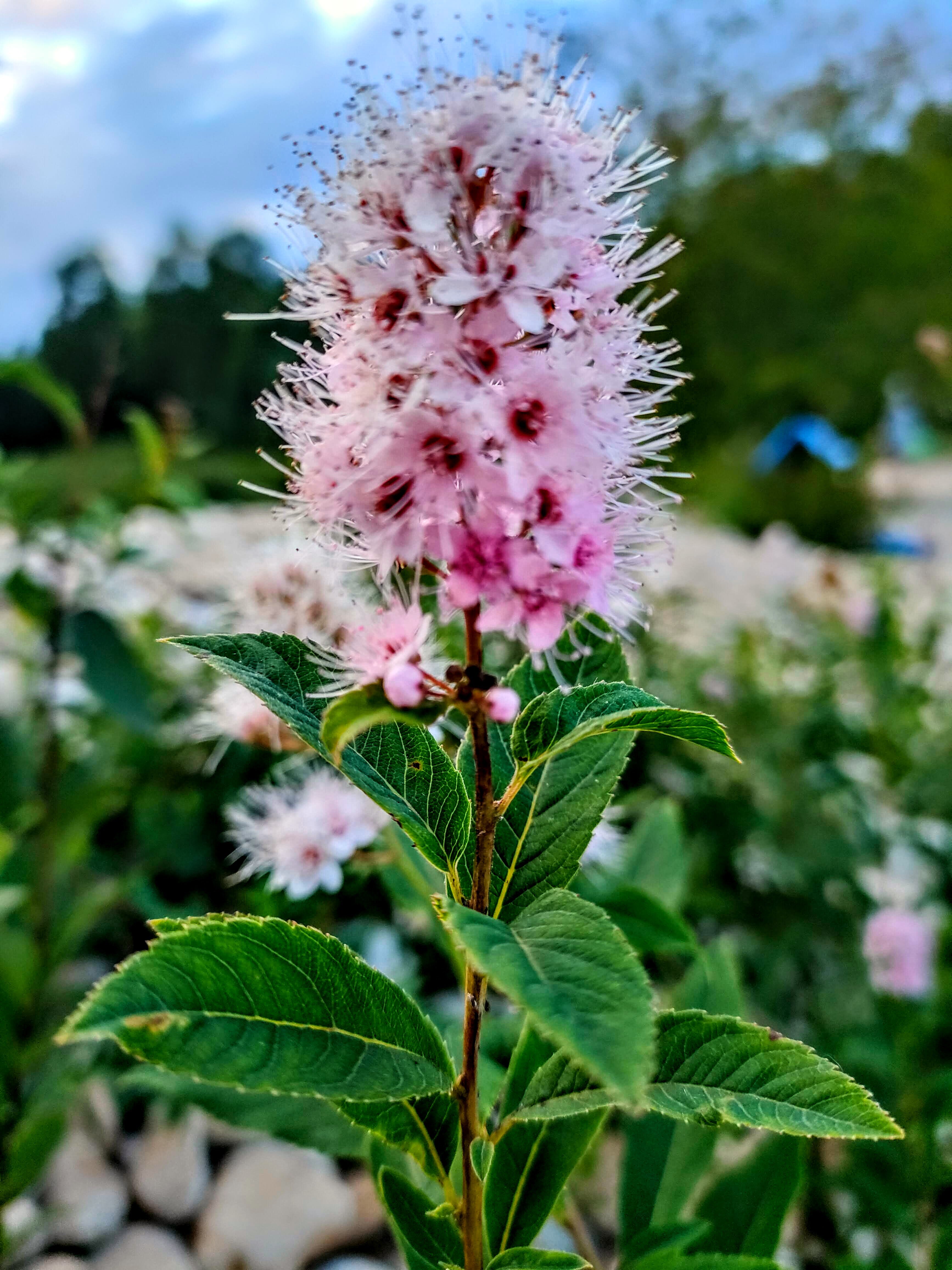 Фото Байкал Делайт