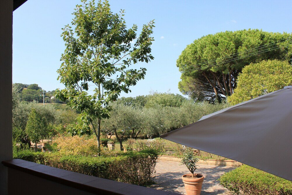 Фото Buen Camino Ssa