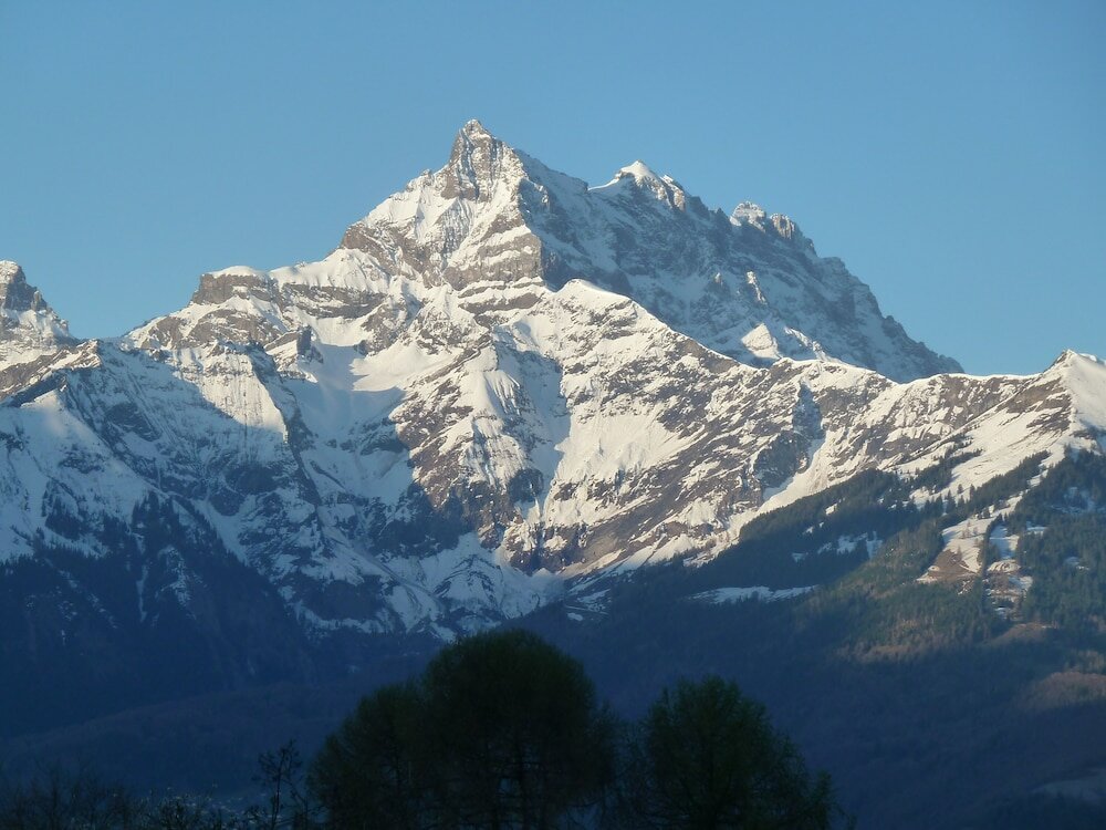 Фото Le Jardin Fleuri