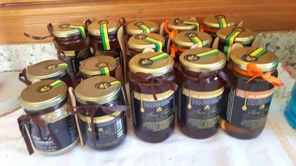 Фото Hirondelle Paraíso