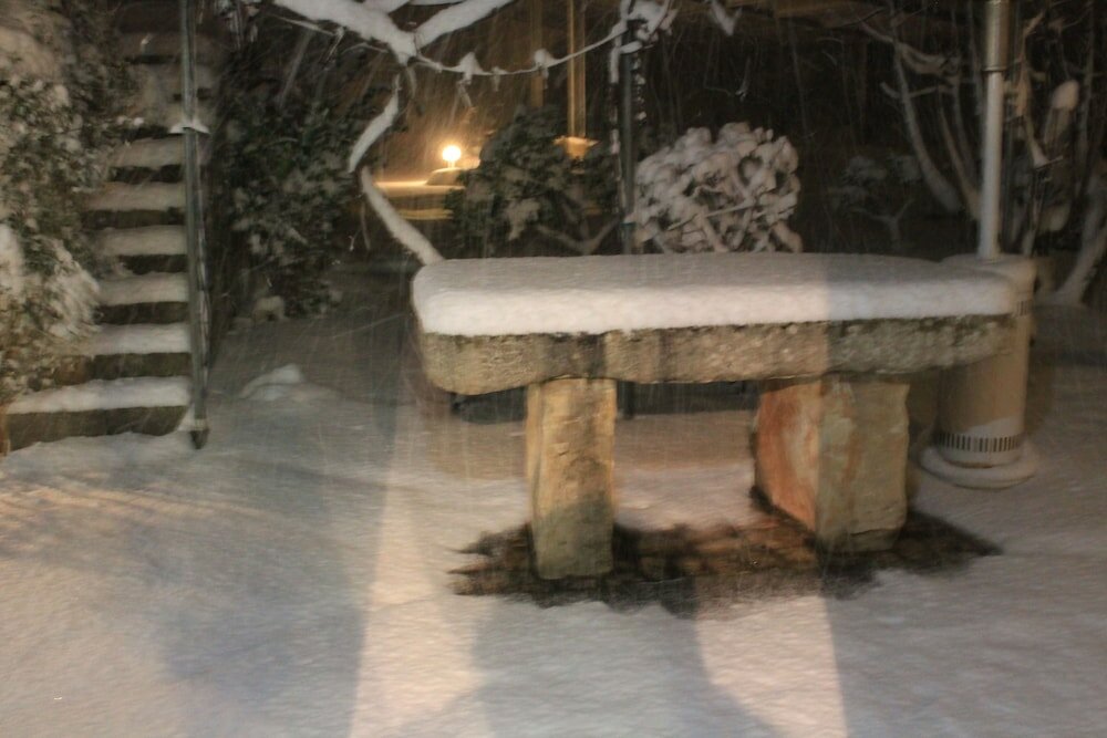 Фото Le due Palme - Il Paradiso di Adamo