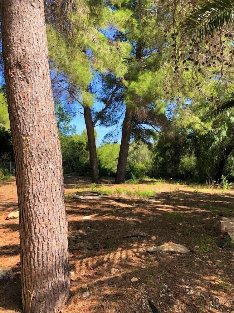 Фото Bungalow 1 dormitorio Montgó