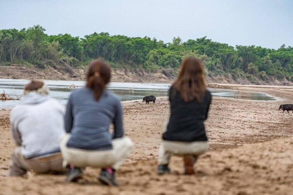 Фото Glamping Los Palmares