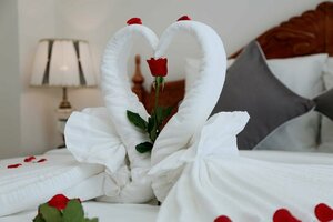 Гостиница Thanh Van Hotel