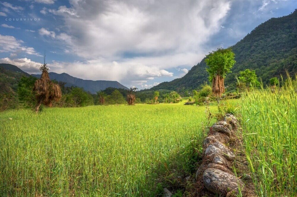 Фото Himalayan River Garden