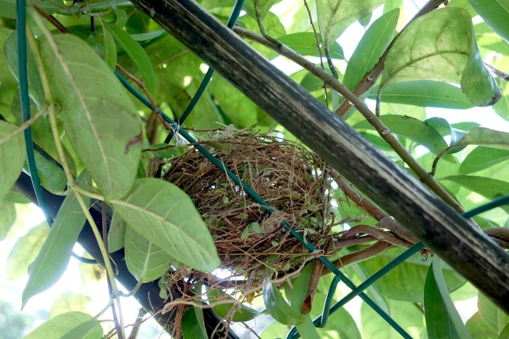 Фото Manel Guesthouse