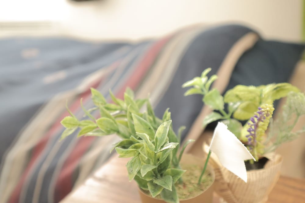 Фото Bayside Hakodate