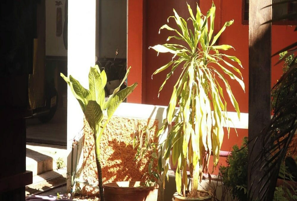 Фото Trekker Camp Chiang Mai Hostel