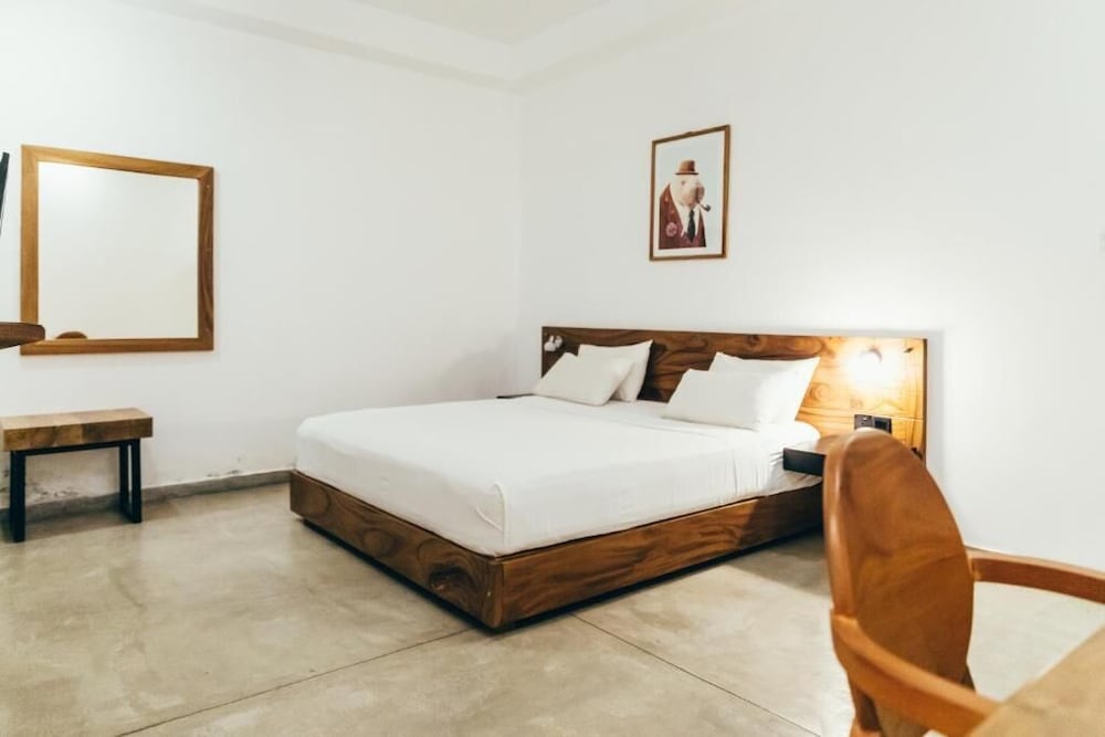 Фото Moss Colombo