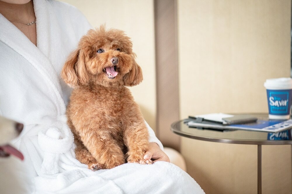 Фото Hilton Shenzhen World Exhibition & Convention Center