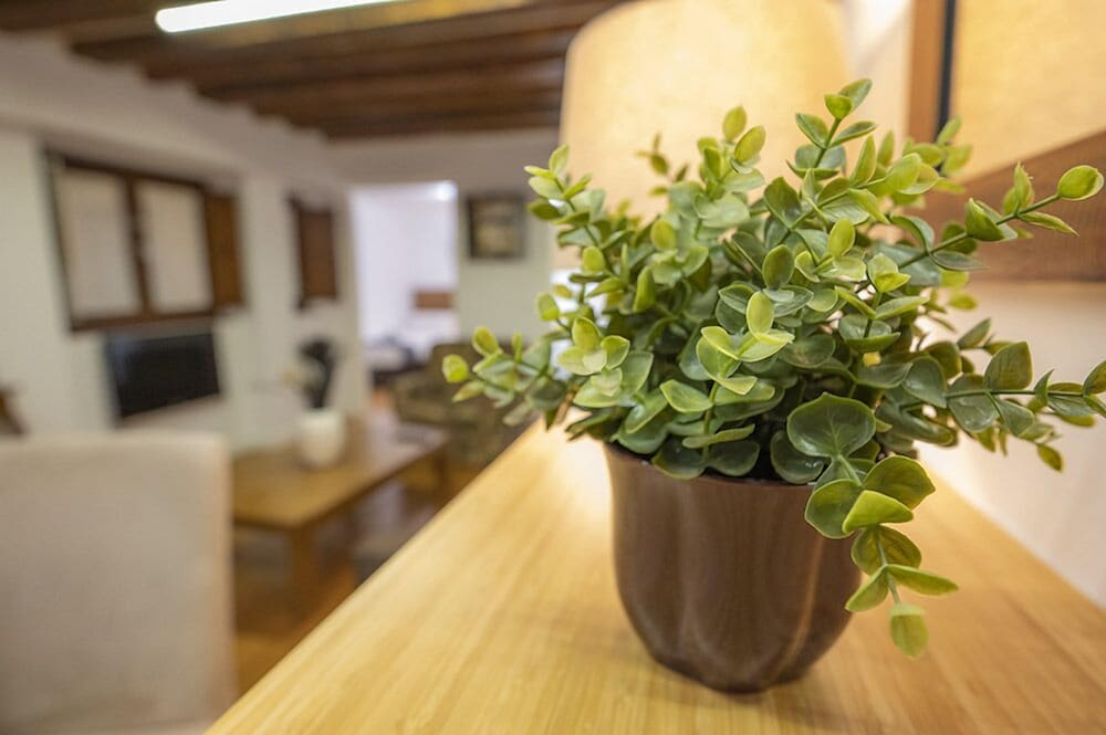 Фото Apartamentos Huertas