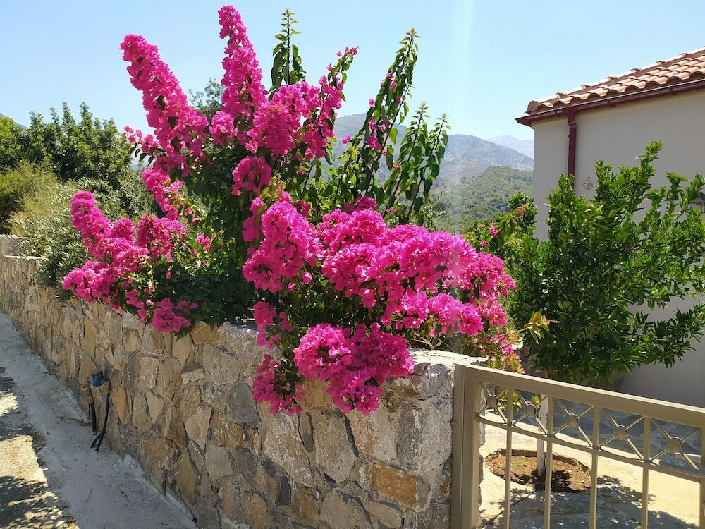 Фото Villa Kastania