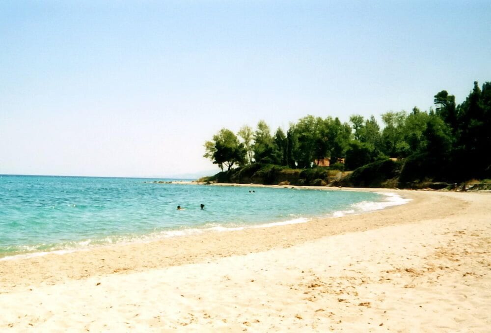 Фото Pashos Hotel