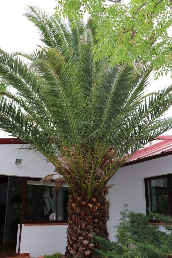 Фото Agroturismo la finka