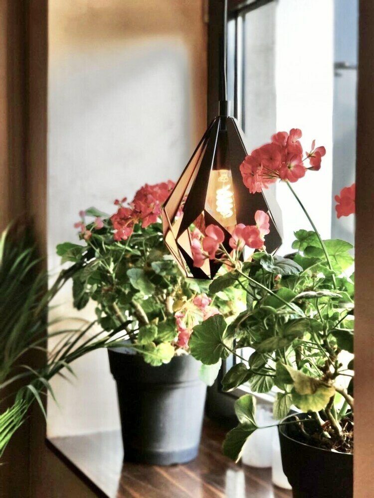 Фото Drive Point