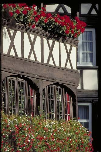 Фото Ibis Styles Strasbourg Stade de la Meinau