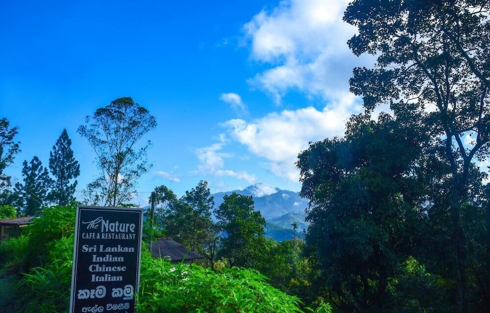 Фото Nature Life Guest Inn