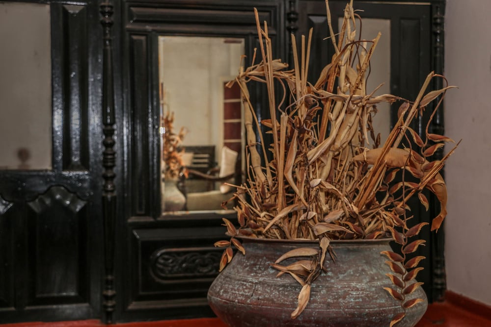 Фото Villa Rosa Blanca - White Rose