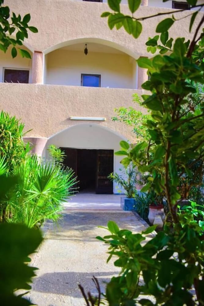 Фото Pharaonic Rose