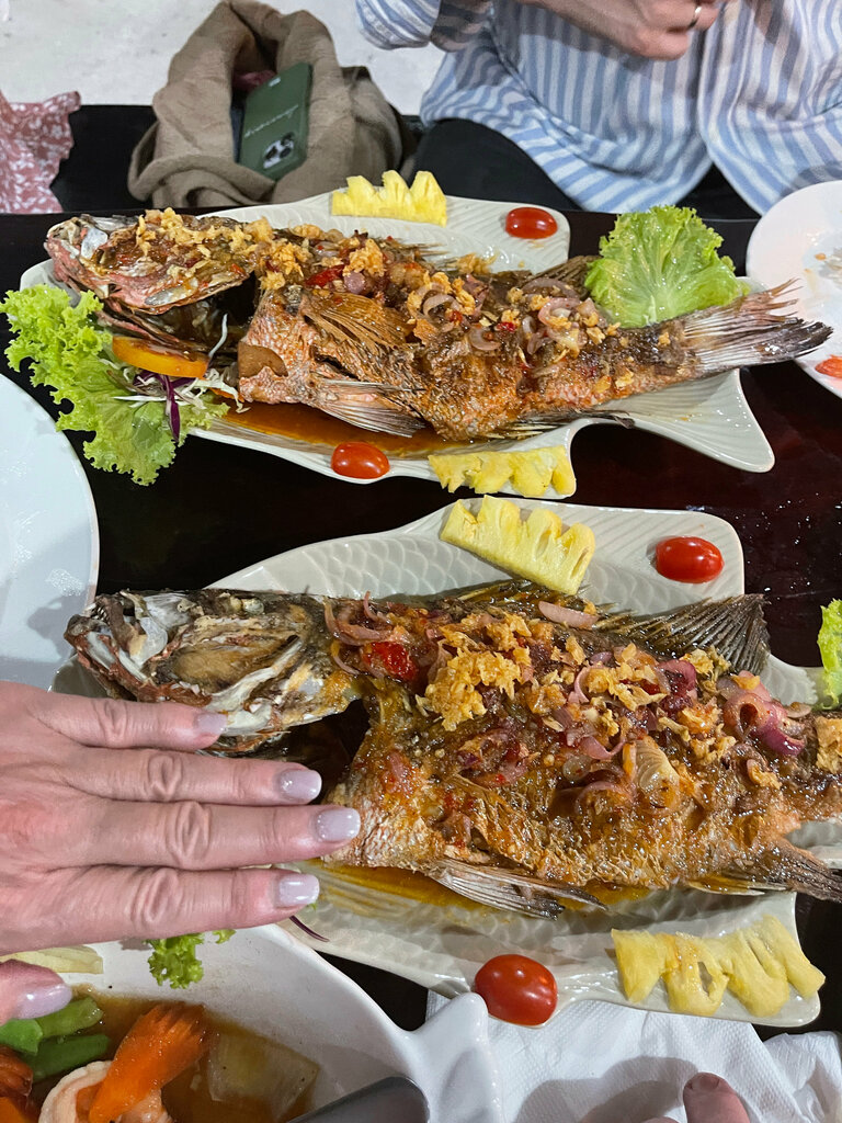 Restaurant Otto, Earth, photo