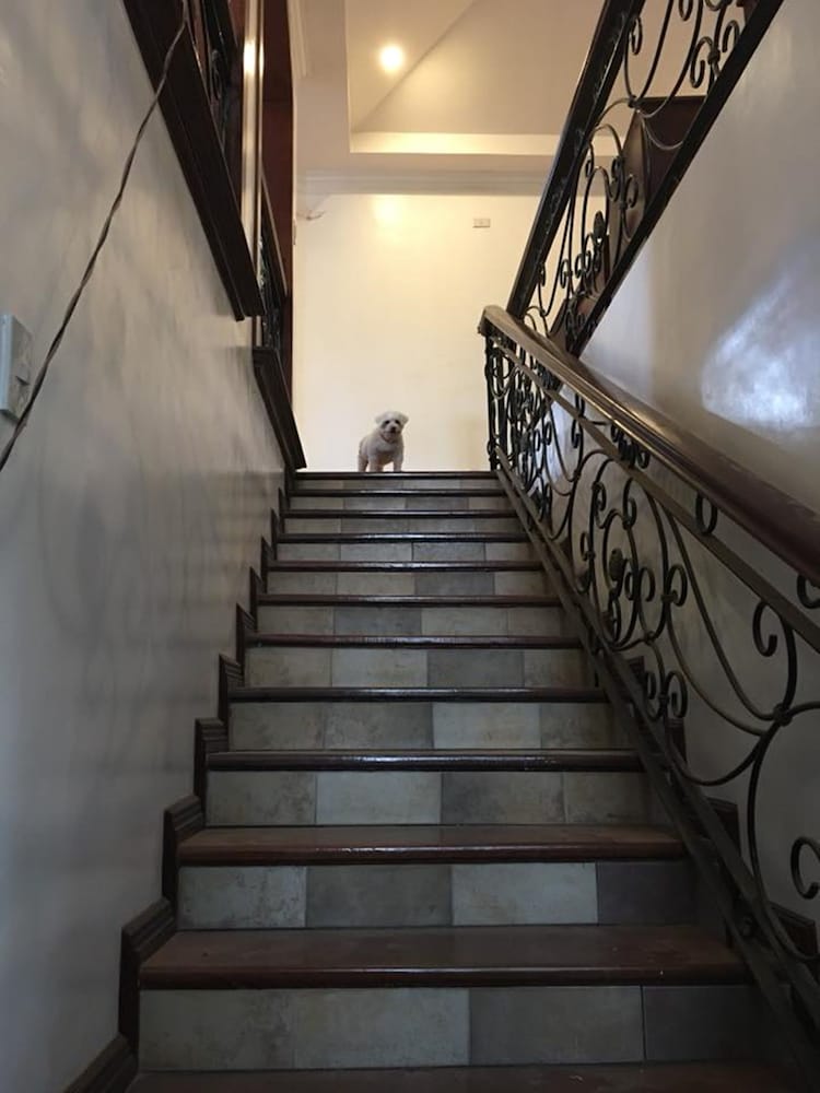 Фото Spinning Cat Hostel - Adults Only