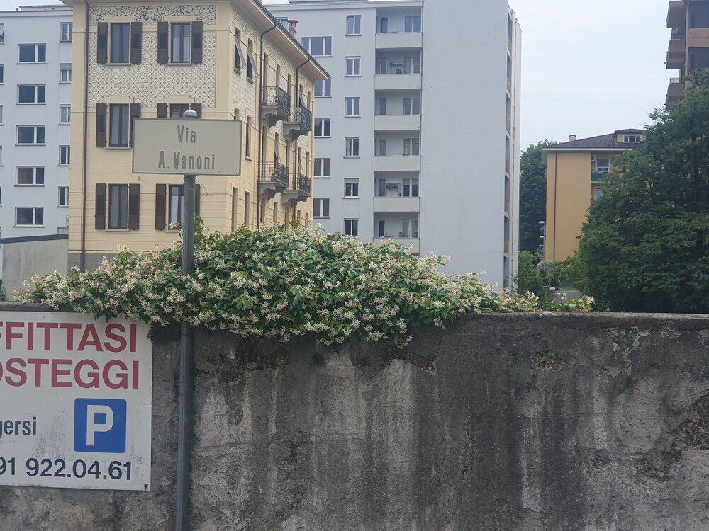 Фото Junior Suite Central Lugano