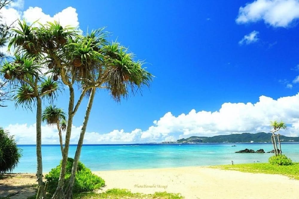 Фото Yakasoba House - Hostel