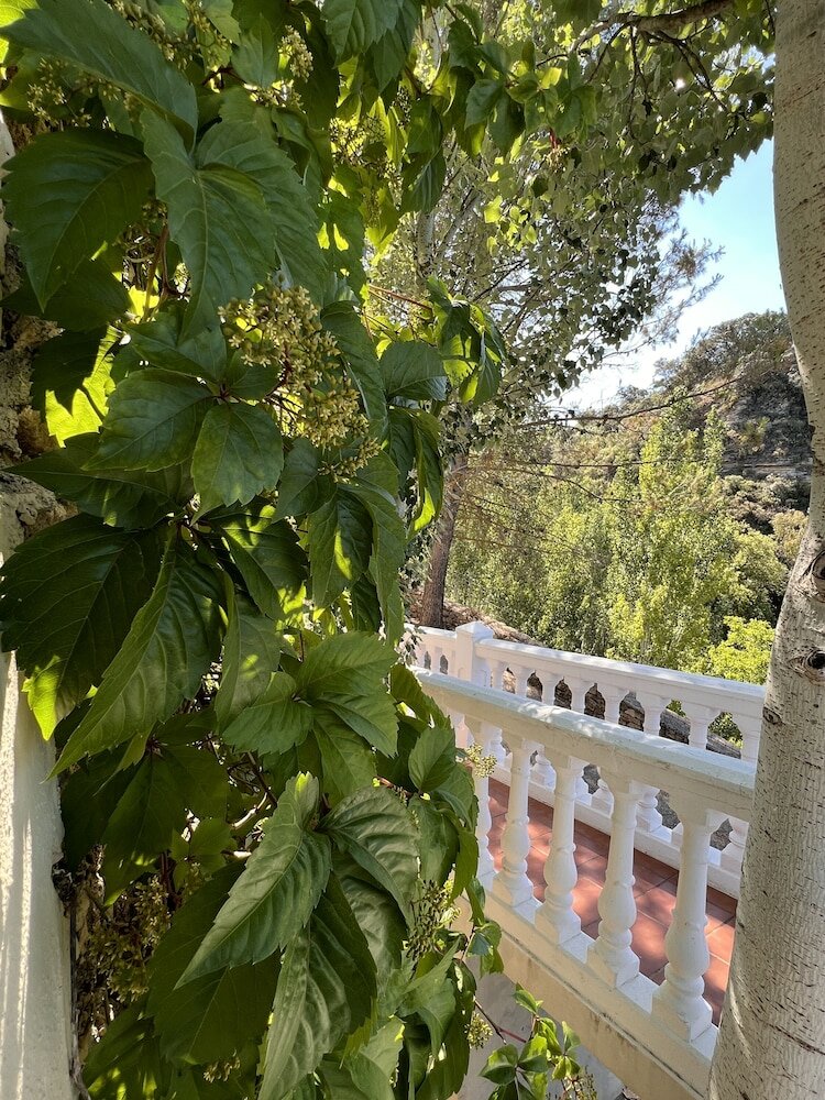 Фото Villa Ignacia B&b